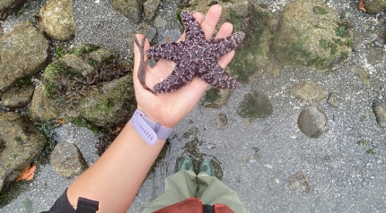 A POV shot of a person in a lifejacket holding a seastar
