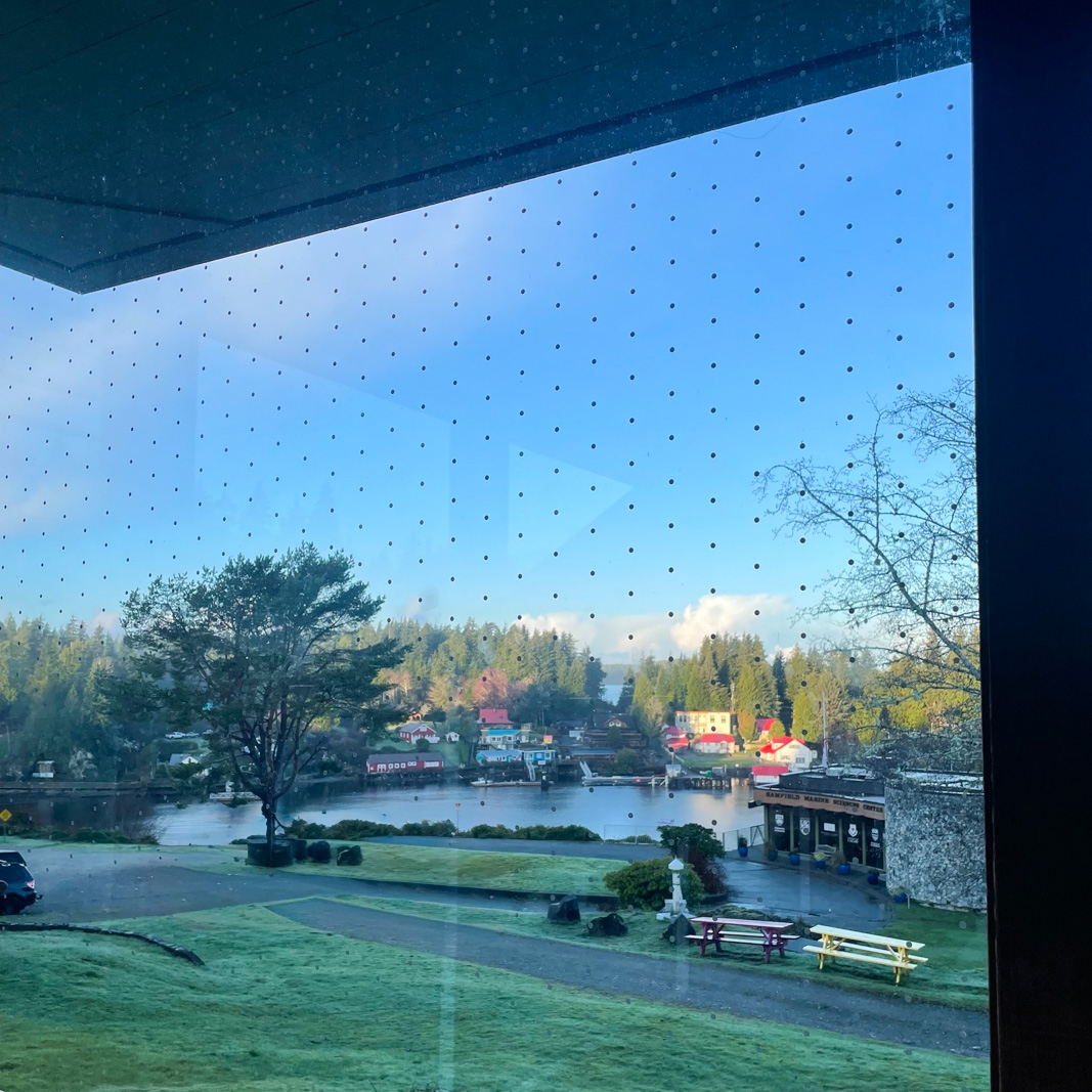 bird strike markers cover a window facing a green area in front of the BMSC main building