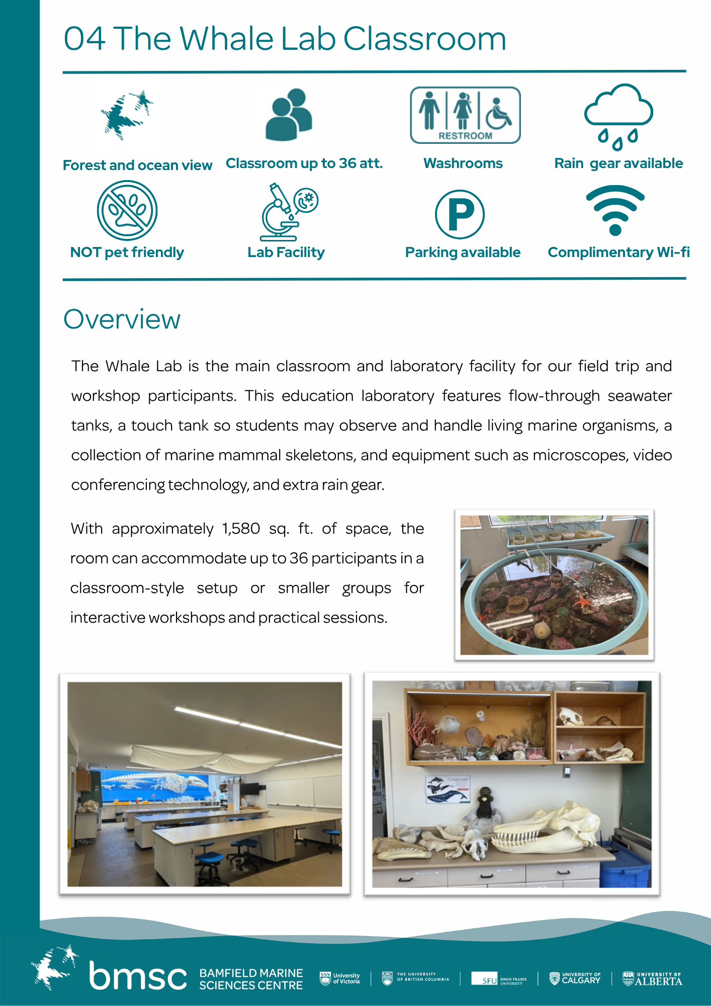 04 The Whale Lab Classroom
